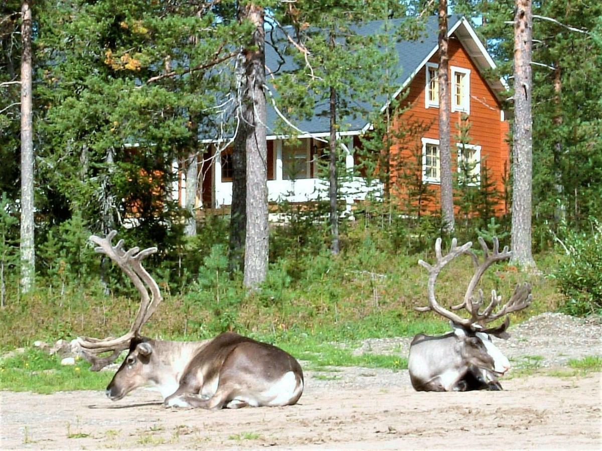 Lapintiira Rovaniemi